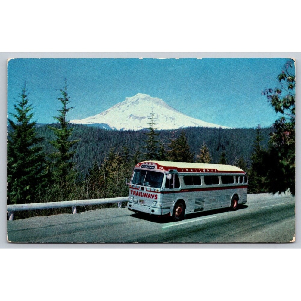 Vintage Trailways Luxury-Liner Bus Postcard Mt. Hood Oregon Laurel Hill c1960s